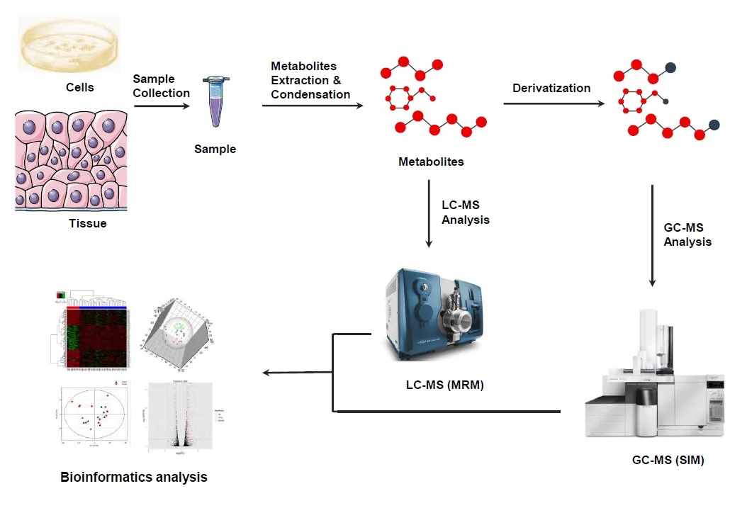 untargeted-metabolomics3.jpg